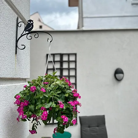 Garden Area Lux Apartment Belgrade Exterior photo