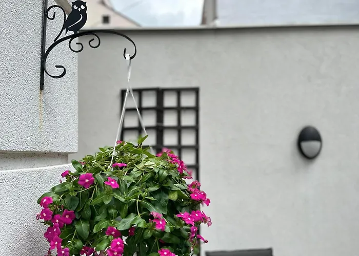 Garden Area Lux Apartment Belgrade